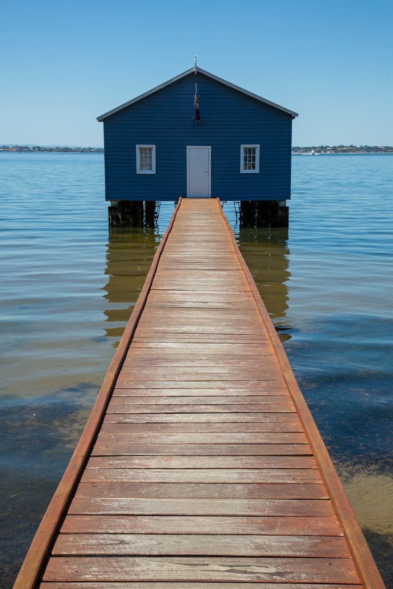 brown wooden dock on body of water during daytime